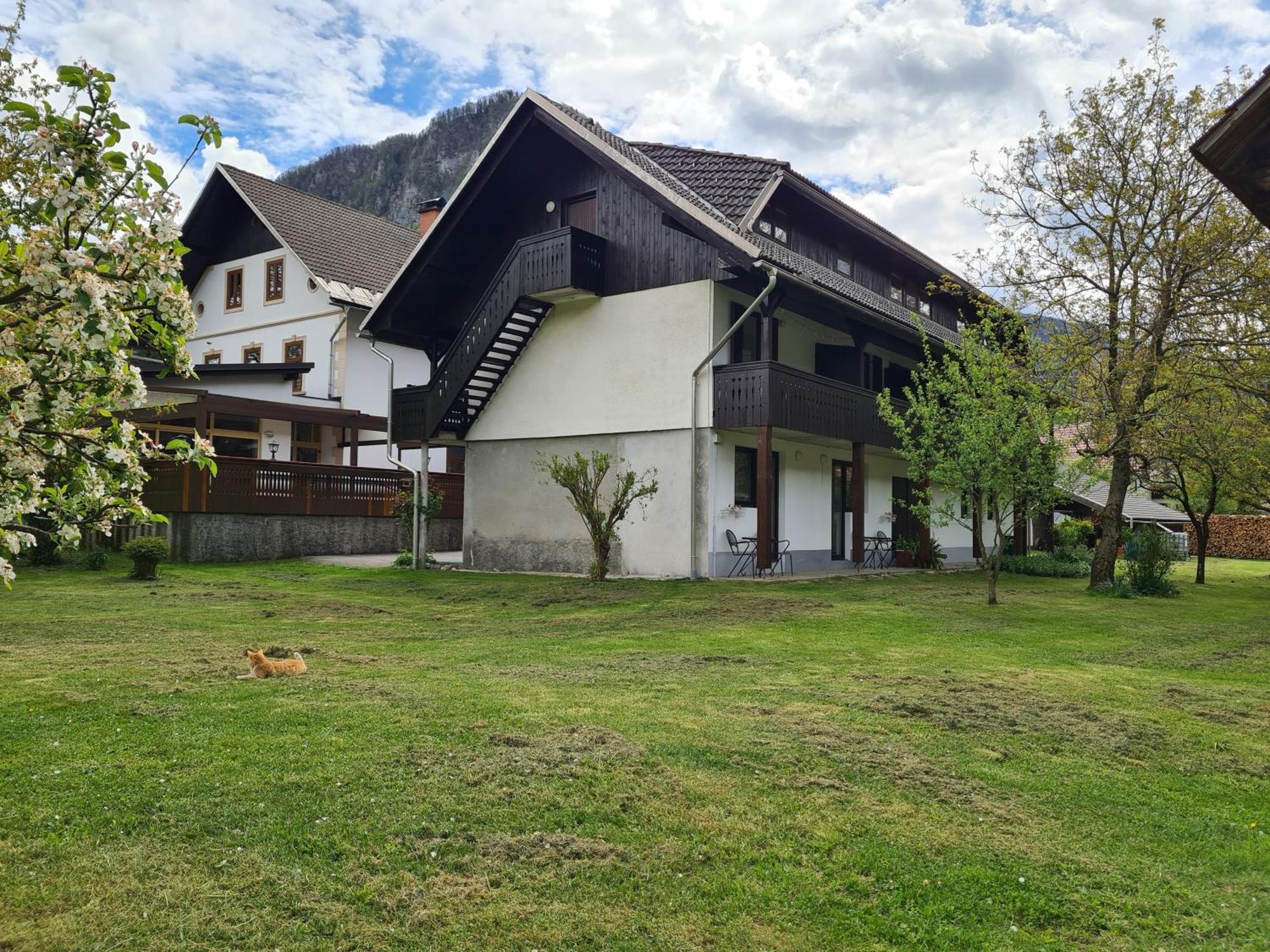 Gostilna Batist Bed & Breakfast โบฮินิสกา เบลา ภายนอก รูปภาพ