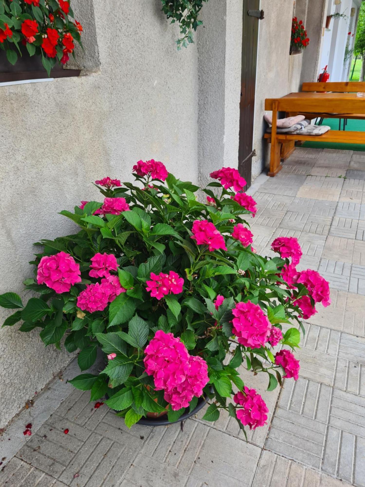 Gostilna Batist Bed & Breakfast โบฮินิสกา เบลา ภายนอก รูปภาพ