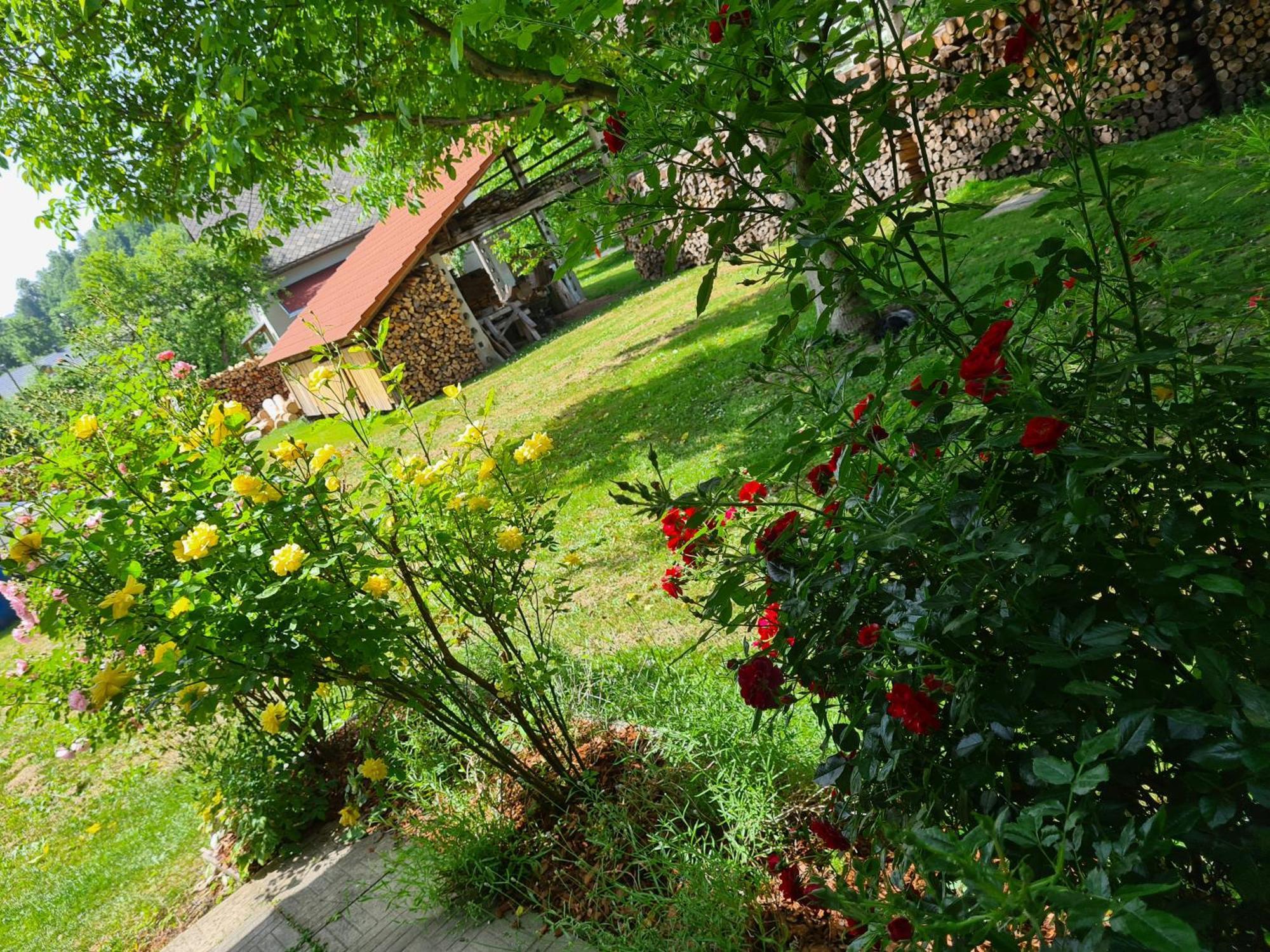 Gostilna Batist Bed & Breakfast โบฮินิสกา เบลา ภายนอก รูปภาพ