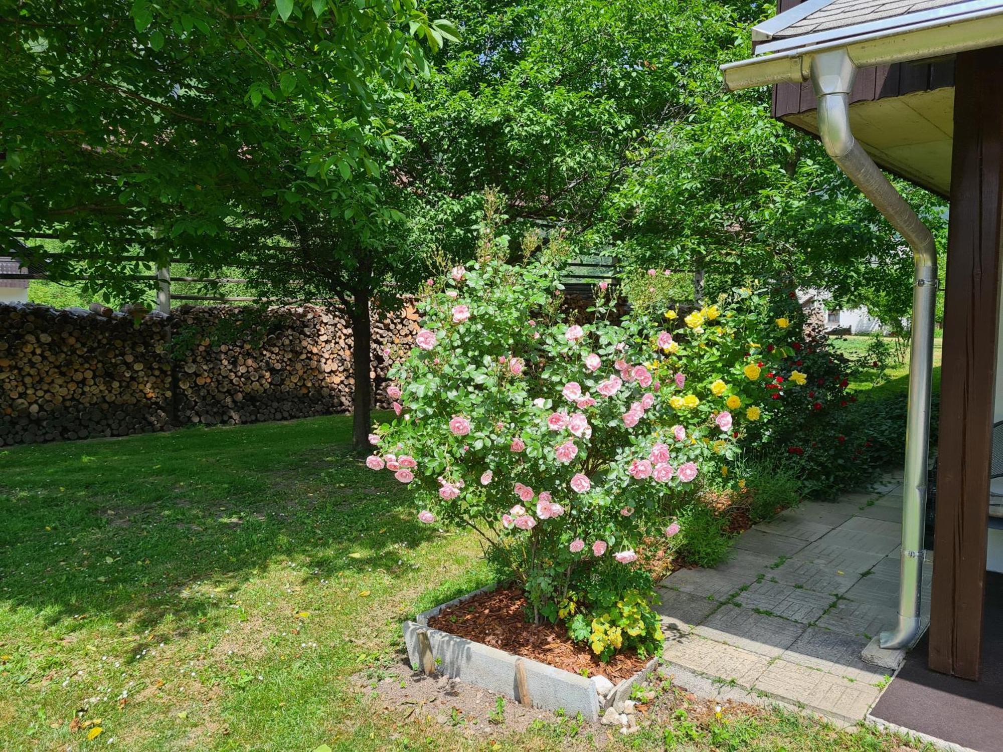 Gostilna Batist Bed & Breakfast โบฮินิสกา เบลา ภายนอก รูปภาพ